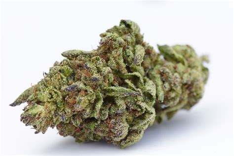 Strain Spotlight: Runtz 